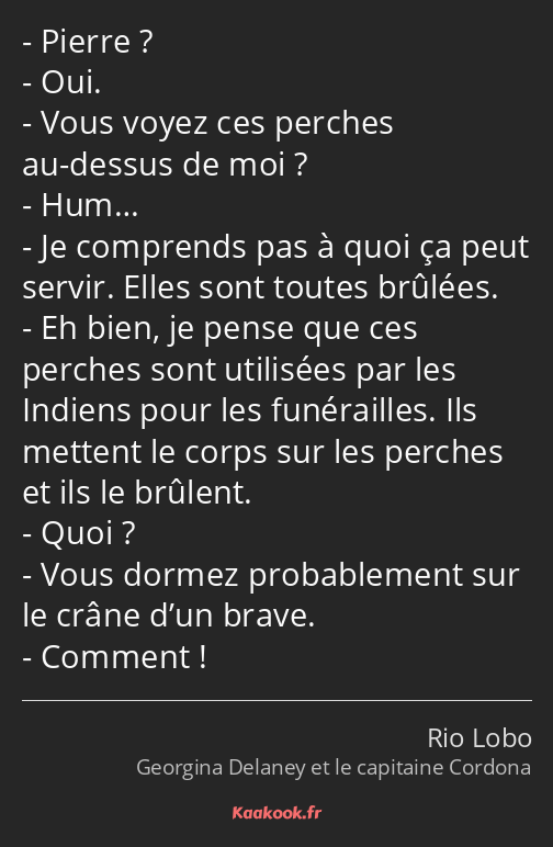 Pierre ? Oui. Vous voyez ces perches au-dessus de moi ? Hum… Je comprends pas à quoi ça peut servir…