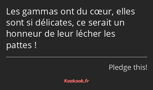 Les gammas ont du cœur, elles sont si délicates, ce serait un honneur de leur lécher les pattes !