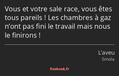 Vous et votre sale race, vous êtes tous pareils ! Les chambres à gaz n’ont pas fini le travail mais…