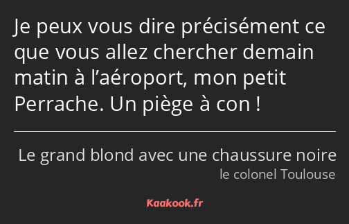 Je peux vous dire précisément ce que vous allez chercher demain matin à l’aéroport, mon petit…