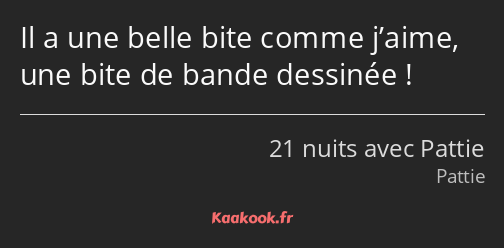 Il a une belle bite comme j’aime, une bite de bande dessinée !