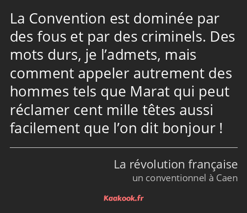 La Convention est dominée par des fous et par des criminels. Des mots durs, je l’admets, mais…