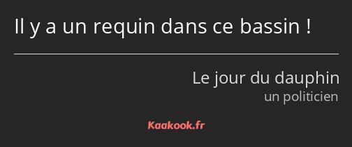 Il y a un requin dans ce bassin !