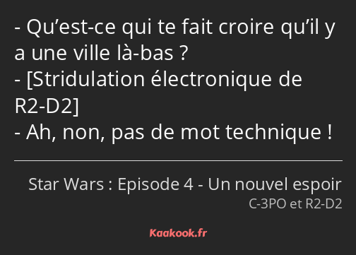 Qu’est-ce qui te fait croire qu’il y a une ville là-bas ? Ah, non, pas de mot technique !