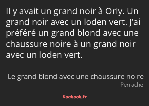 Il y avait un grand noir à Orly. Un grand noir avec un loden vert. J’ai préféré un grand blond avec…