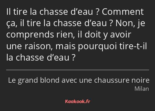 Il tire la chasse d’eau ? Comment ça, il tire la chasse d’eau ? Non, je comprends rien, il doit y…