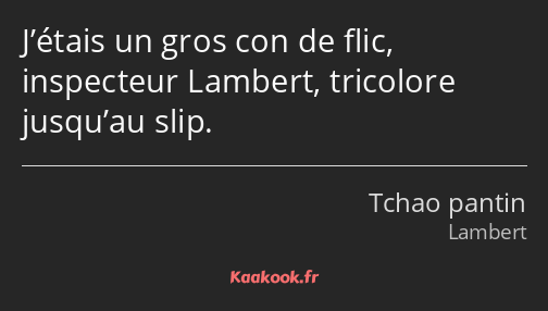 J’étais un gros con de flic, inspecteur Lambert, tricolore jusqu’au slip.