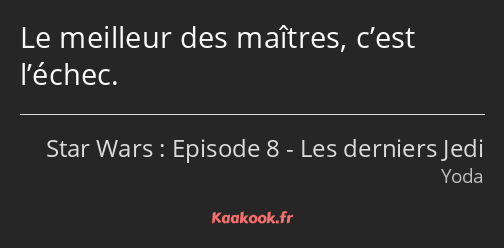 Le meilleur des maîtres, c’est l’échec.