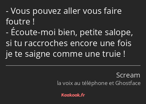 Vous pouvez aller vous faire foutre ! Écoute-moi bien, petite salope, si tu raccroches encore une…