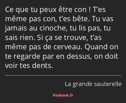 Ce que tu peux être con ! T’es même pas con, t’es bête. Tu vas jamais au cinoche, tu lis pas, tu…