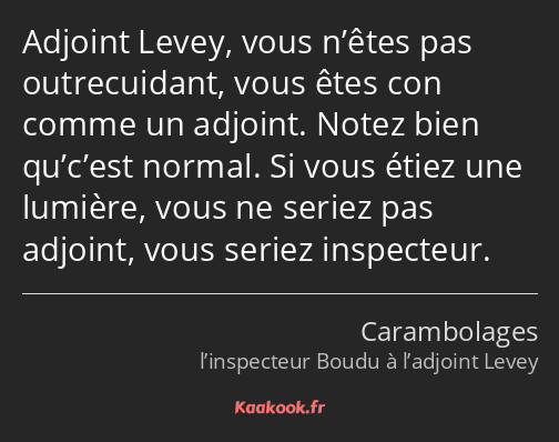 Adjoint Levey, vous n’êtes pas outrecuidant, vous êtes con comme un adjoint. Notez bien qu’c’est…