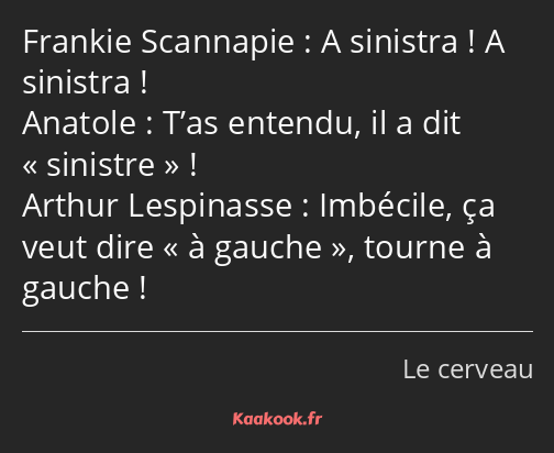 A sinistra ! A sinistra ! T’as entendu, il a dit sinistre ! Imbécile, ça veut dire à gauche, tourne…