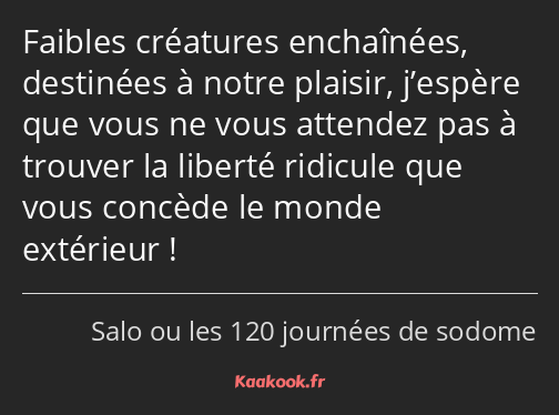 Faibles créatures enchaînées, destinées à notre plaisir, j’espère que vous ne vous attendez pas à…