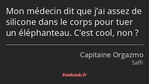 Mon médecin dit que j’ai assez de silicone dans le corps pour tuer un éléphanteau. C’est cool, non ?