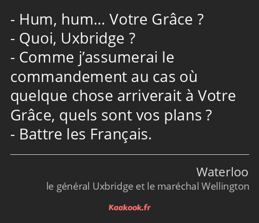 Hum, hum… Votre Grâce ? Quoi, Uxbridge ? Comme j’assumerai le commandement au cas où quelque chose…