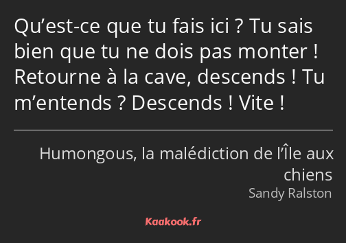 Qu’est-ce que tu fais ici ? Tu sais bien que tu ne dois pas monter ! Retourne à la cave, descends…