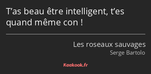 T’as beau être intelligent, t’es quand même con !