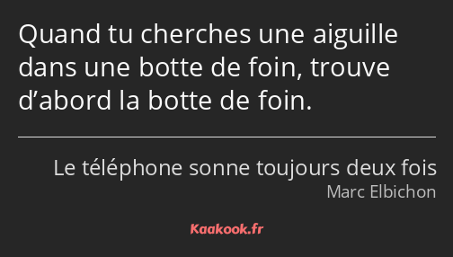 Quand tu cherches une aiguille dans une botte de foin, trouve d’abord la botte de foin.