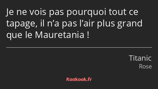 Je ne vois pas pourquoi tout ce tapage, il n’a pas l’air plus grand que le Mauretania !