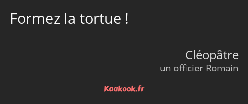 Formez la tortue !