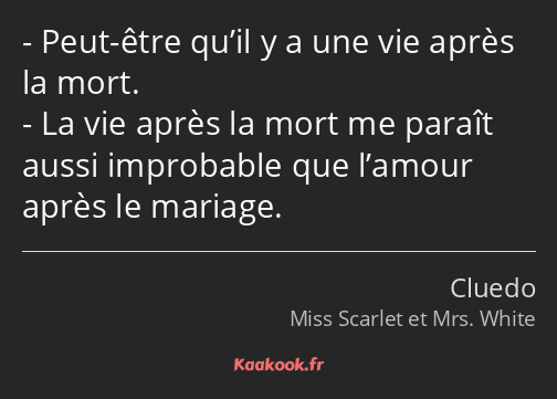 Peut-être qu’il y a une vie après la mort. La vie après la mort me paraît aussi improbable que…