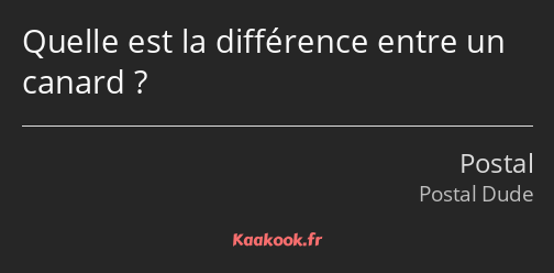 Quelle est la différence entre un canard ?