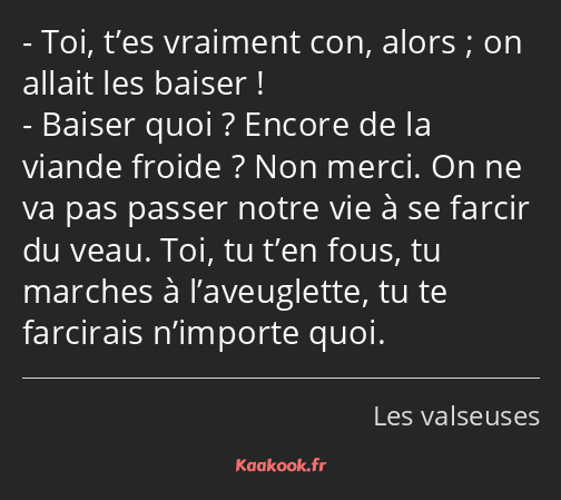 Toi, t’es vraiment con, alors ; on allait les baiser ! Baiser quoi ? Encore de la viande froide…