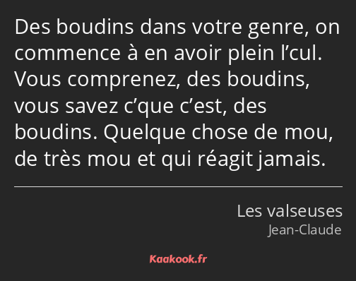 Des boudins dans votre genre, on commence à en avoir plein l’cul. Vous comprenez, des boudins, vous…