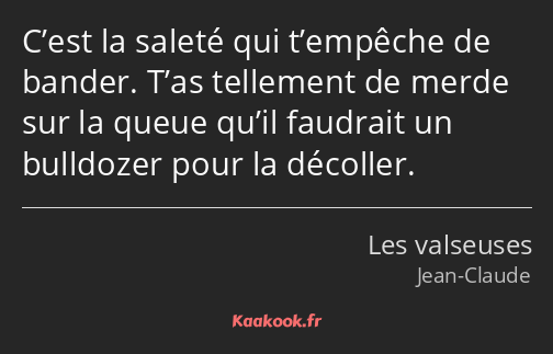 C’est la saleté qui t’empêche de bander. T’as tellement de merde sur la queue qu’il faudrait un…