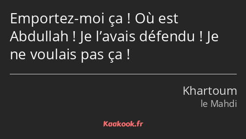 Emportez-moi ça ! Où est Abdullah ! Je l’avais défendu ! Je ne voulais pas ça !