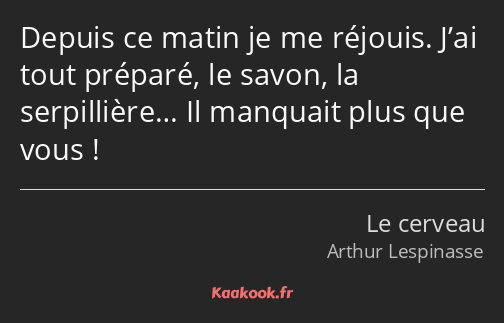 Depuis ce matin je me réjouis. J’ai tout préparé, le savon, la serpillière… Il manquait plus que…