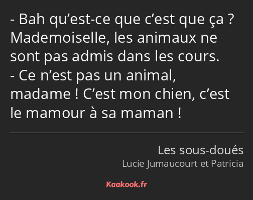 Bah qu’est-ce que c’est que ça ? Mademoiselle, les animaux ne sont pas admis dans les cours. Ce…