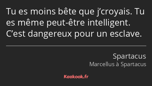 Tu es moins bête que j’croyais. Tu es même peut-être intelligent. C’est dangereux pour un esclave.