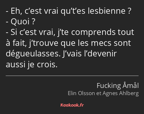 Eh, c’est vrai qu’t’es lesbienne ? Quoi ? Si c’est vrai, j’te comprends tout à fait, j’trouve que…