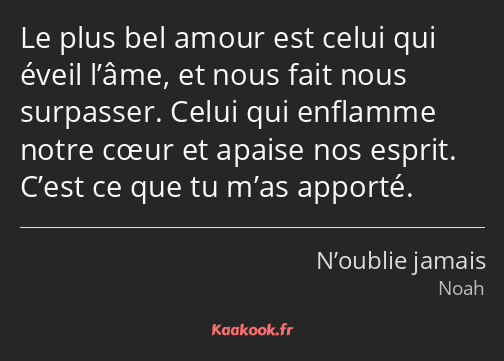 Le plus bel amour est celui qui éveil l’âme, et nous fait nous surpasser. Celui qui enflamme notre…