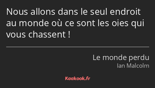 Nous allons dans le seul endroit au monde où ce sont les oies qui vous chassent !