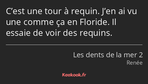 C’est une tour à requin. J’en ai vu une comme ça en Floride. Il essaie de voir des requins.