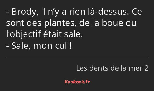 Brody, il n’y a rien là-dessus. Ce sont des plantes, de la boue ou l’objectif était sale. Sale, mon…