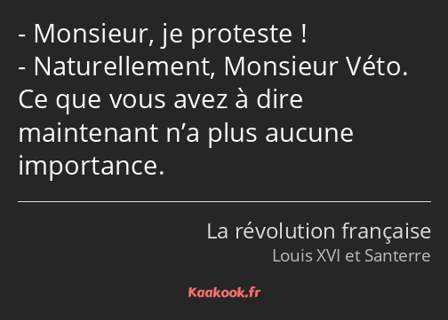 Monsieur, je proteste ! Naturellement, Monsieur Véto. Ce que vous avez à dire maintenant n’a plus…