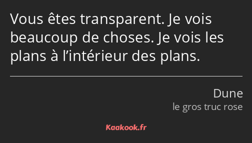 Vous êtes transparent. Je vois beaucoup de choses. Je vois les plans à l’intérieur des plans.