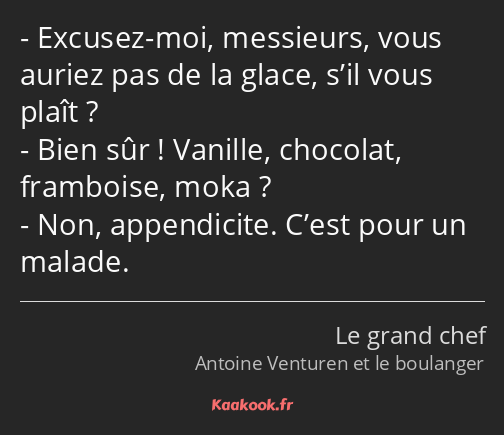 Excusez-moi, messieurs, vous auriez pas de la glace, s’il vous plaît ? Bien sûr ! Vanille, chocolat…