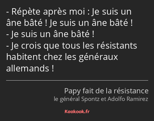 Répète après moi : Je suis un âne bâté ! Je suis un âne bâté ! Je suis un âne bâté ! Je crois que…