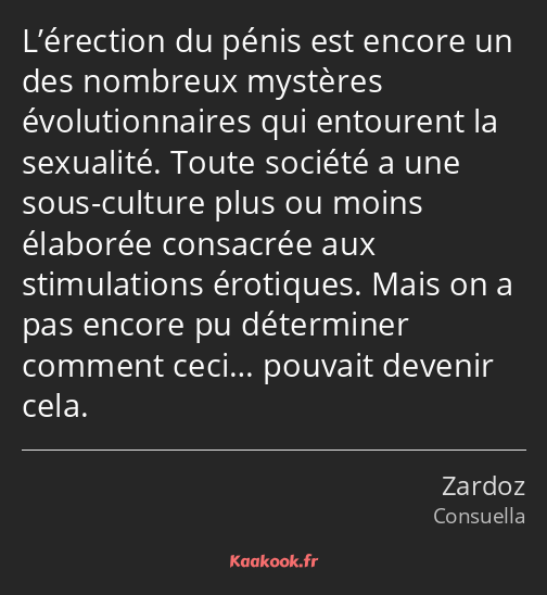 L’érection du pénis est encore un des nombreux mystères évolutionnaires qui entourent la sexualité…