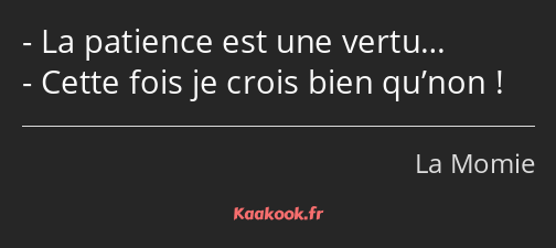 La patience est une vertu… Cette fois je crois bien qu’non !