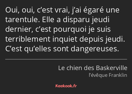 Oui, oui, c’est vrai, j’ai égaré une tarentule. Elle a disparu jeudi dernier, c’est pourquoi je…