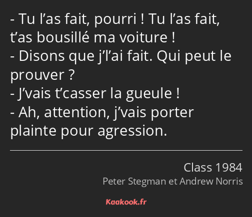 Tu l’as fait, pourri ! Tu l’as fait, t’as bousillé ma voiture ! Disons que j’l’ai fait. Qui peut le…