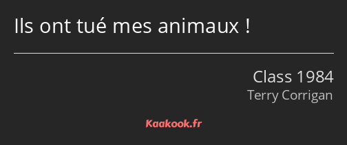 Ils ont tué mes animaux !