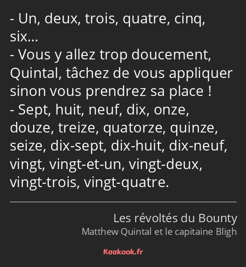 Un, deux, trois, quatre, cinq, six… Vous y allez trop doucement, Quintal, tâchez de vous appliquer…