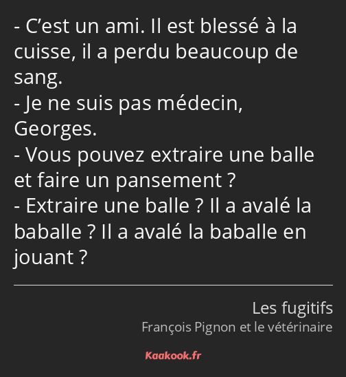 C’est un ami. Il est blessé à la cuisse, il a perdu beaucoup de sang. Je ne suis pas médecin…