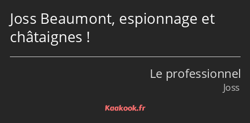 Joss Beaumont, espionnage et châtaignes !